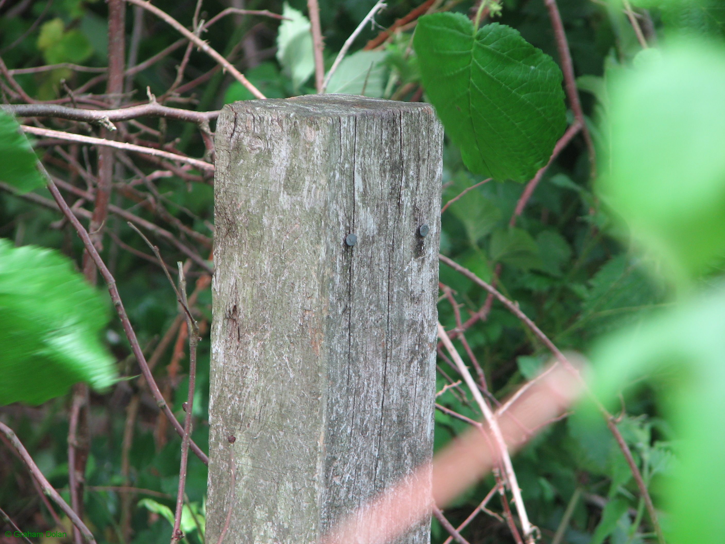 Greenwich Meridian Marker; England; Lincolnshire; Winceby